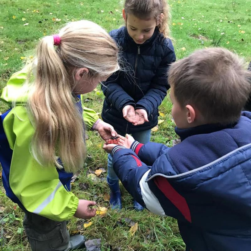 Onze school maakt onderdeel uit van Stichting Talentis